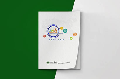 岱岳区画册设计：以场景为媒，打造城市体验的全新入口